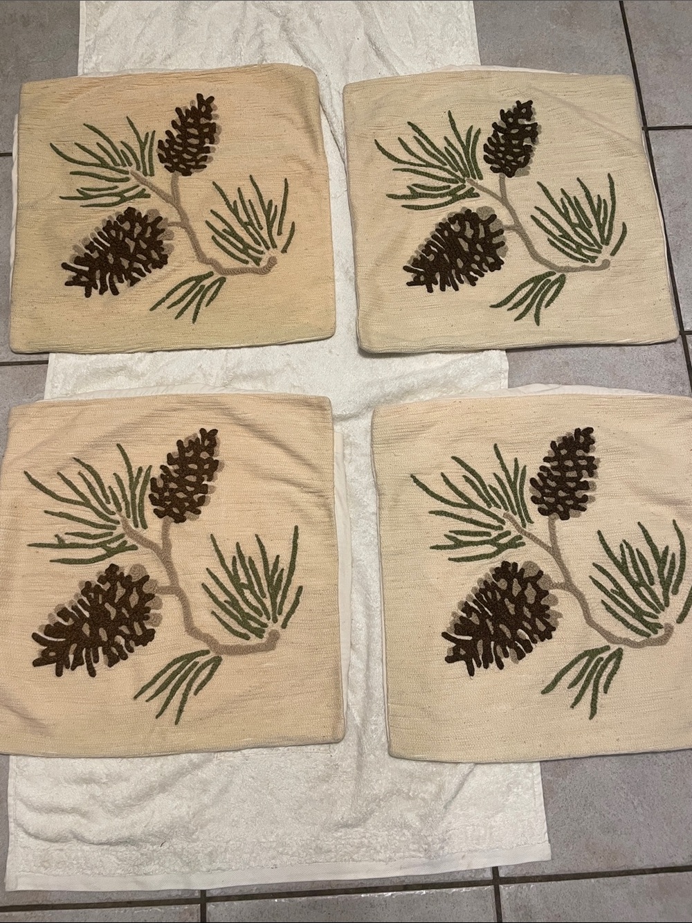 Pottery Barn Embroidered Pillow Covers